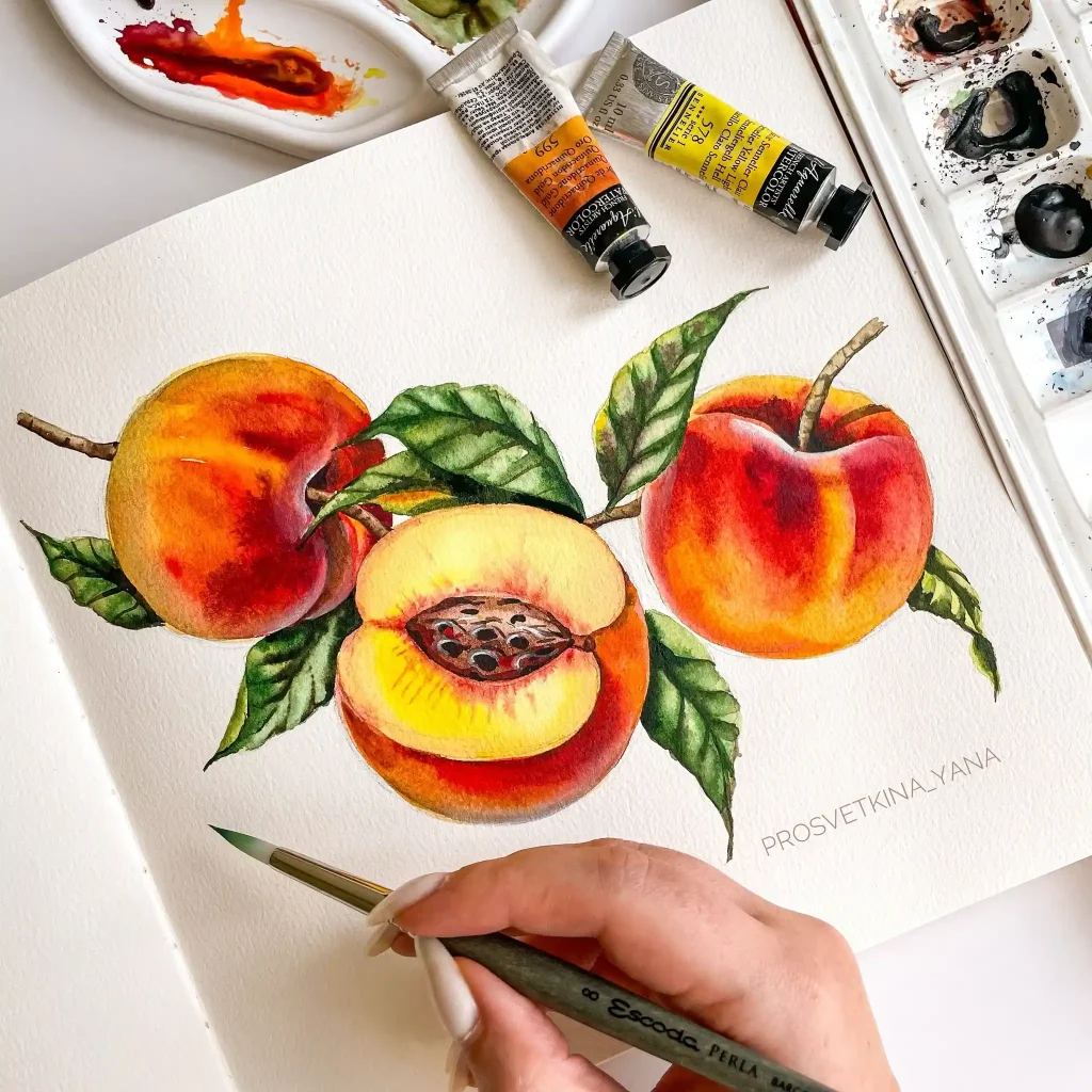 watercolor peach drawing ideas (22)