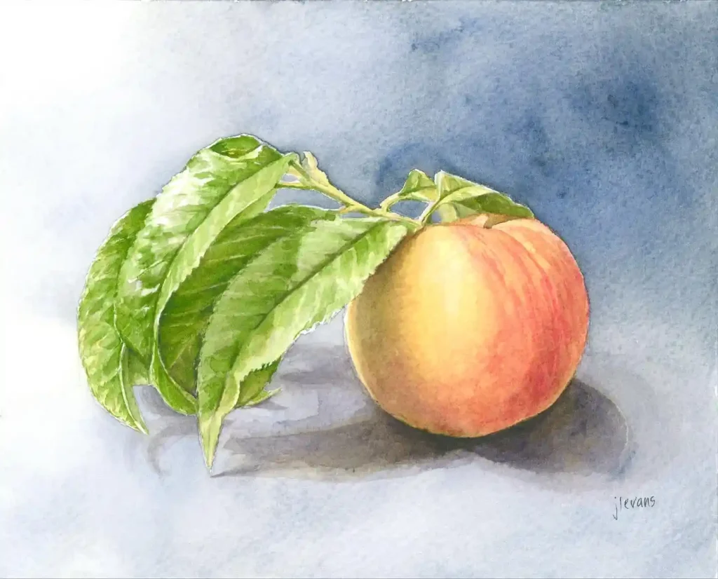 watercolor peach drawing ideas (4)
