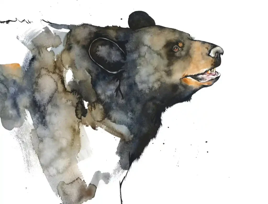 Watercolor Bear Drawing Ideas (13)