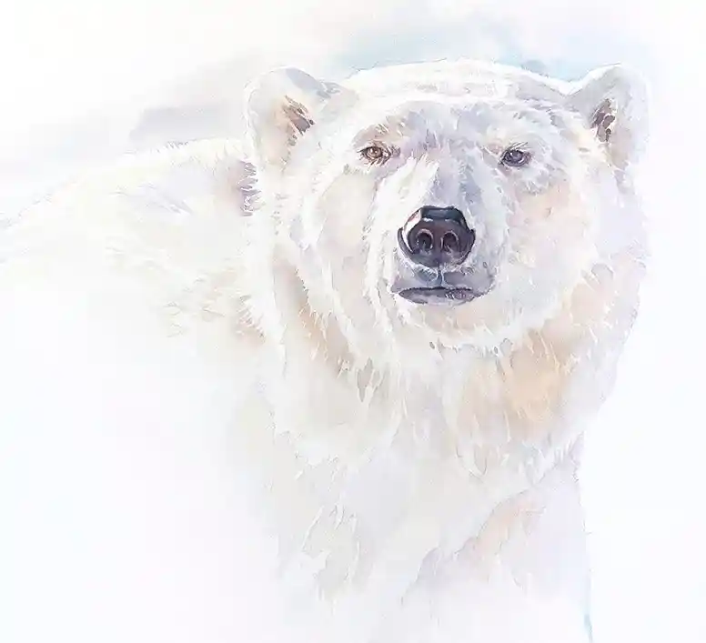 Watercolor Bear Drawing Ideas (17)
