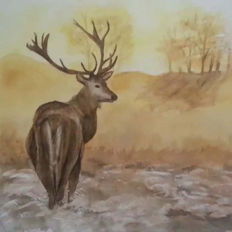 Watercolor Deer Drawing Ideas (17)