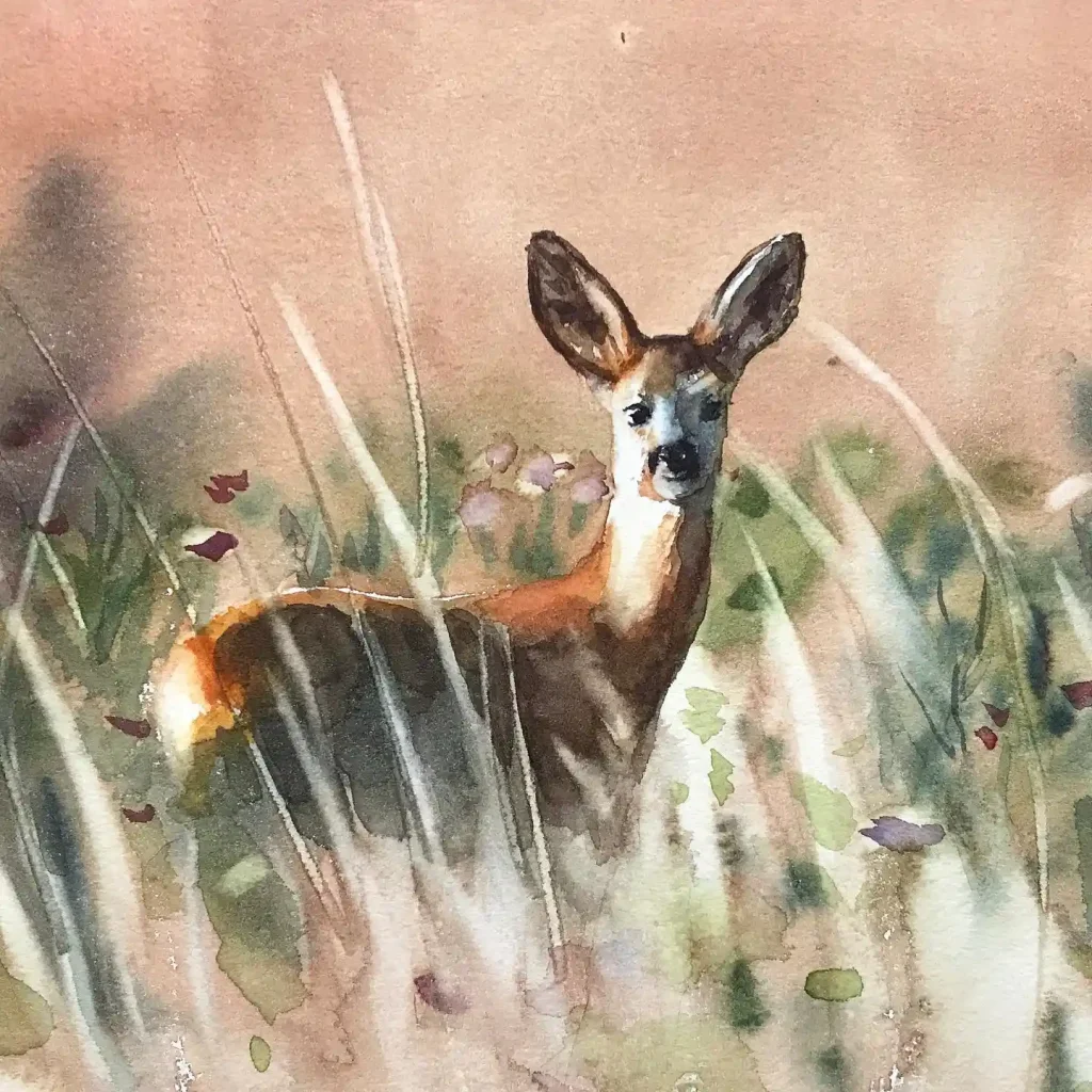 Watercolor Deer Drawing Ideas (3)