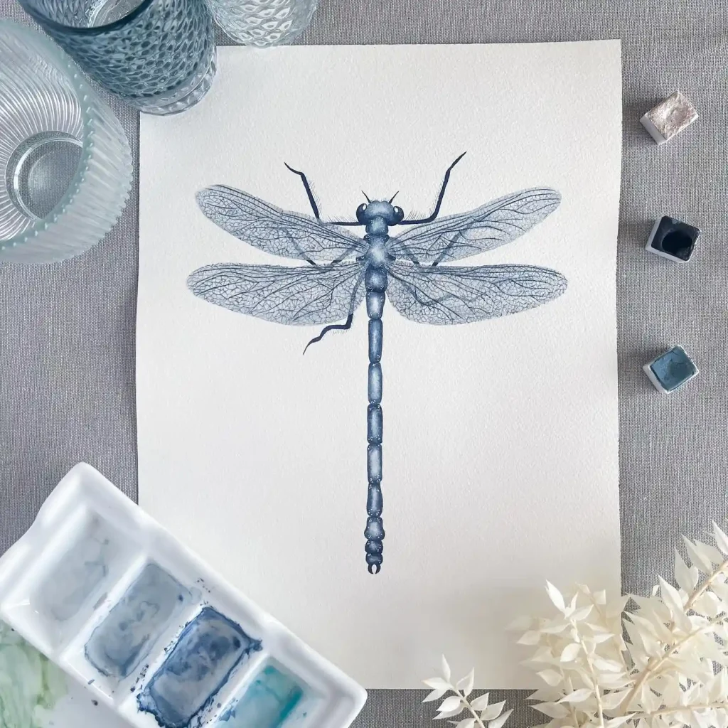 Watercolor Dragonfly Drawing Ideas (20)