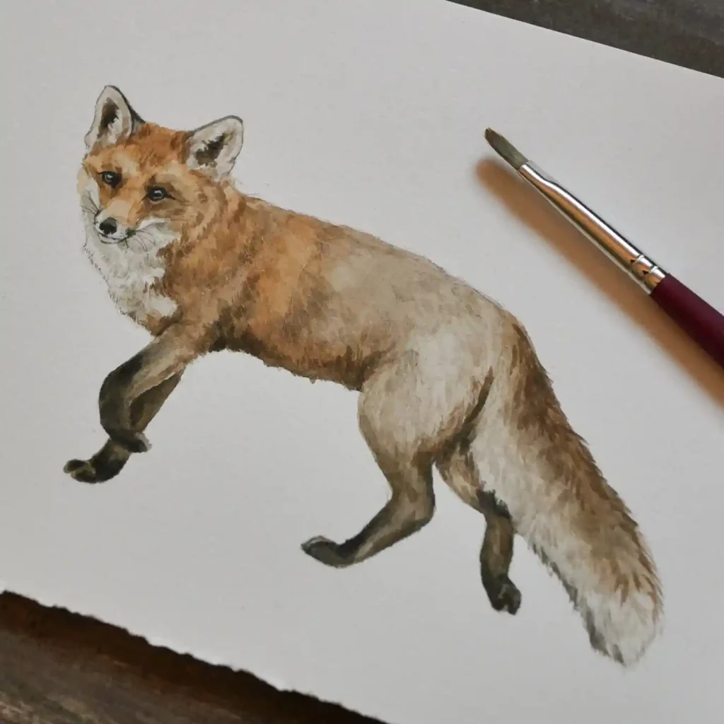 Watercolor Fox 19