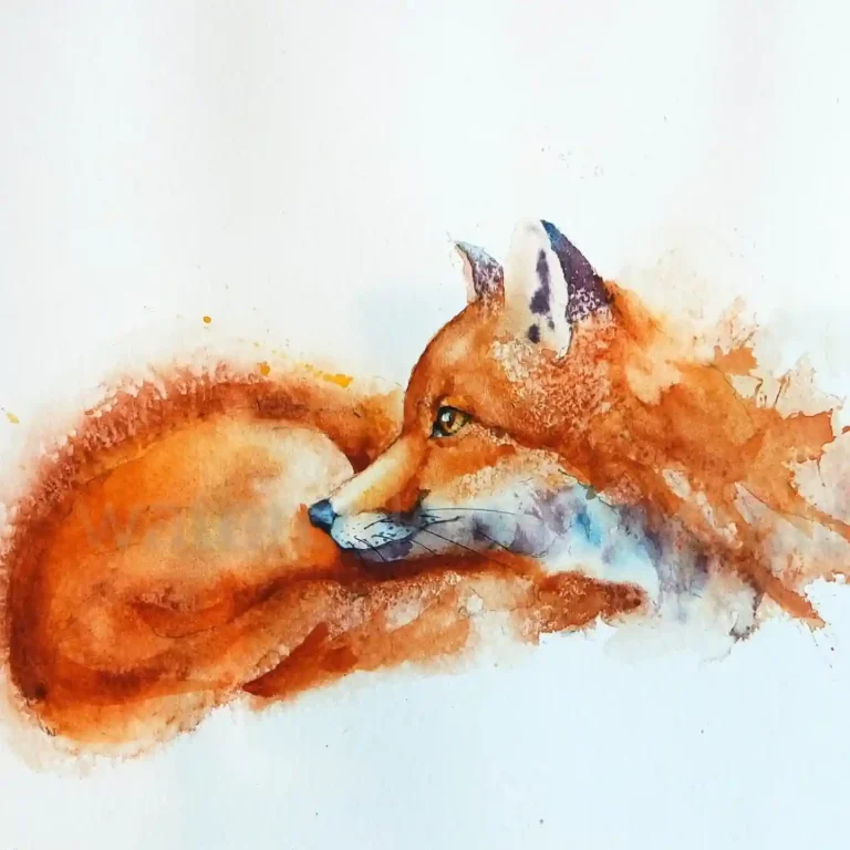 Watercolor Fox 26