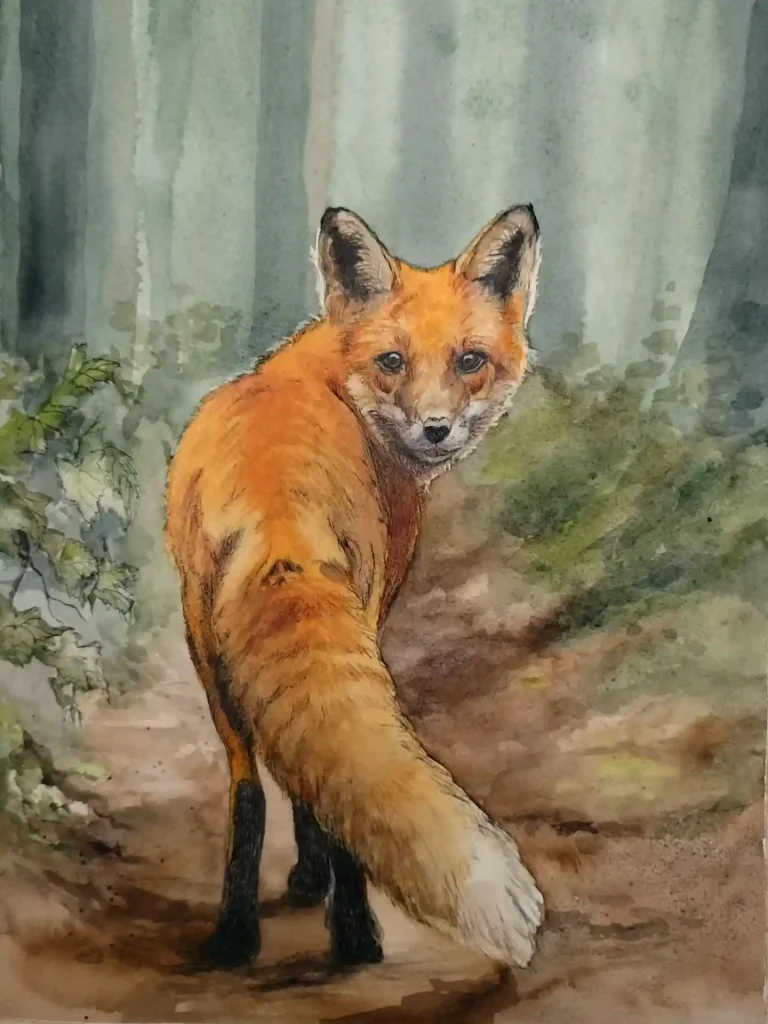 Watercolor Fox 7