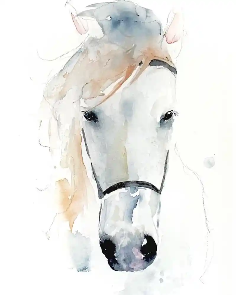 Watercolor Horse 18