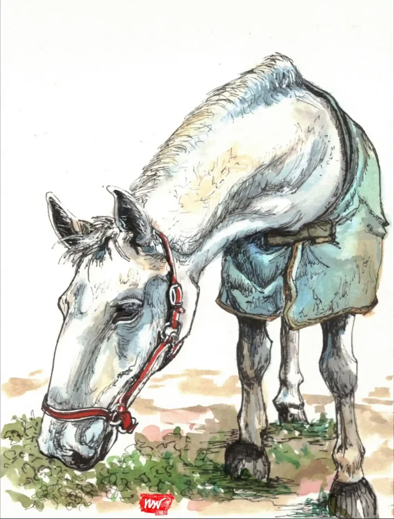 Watercolor Horse 19