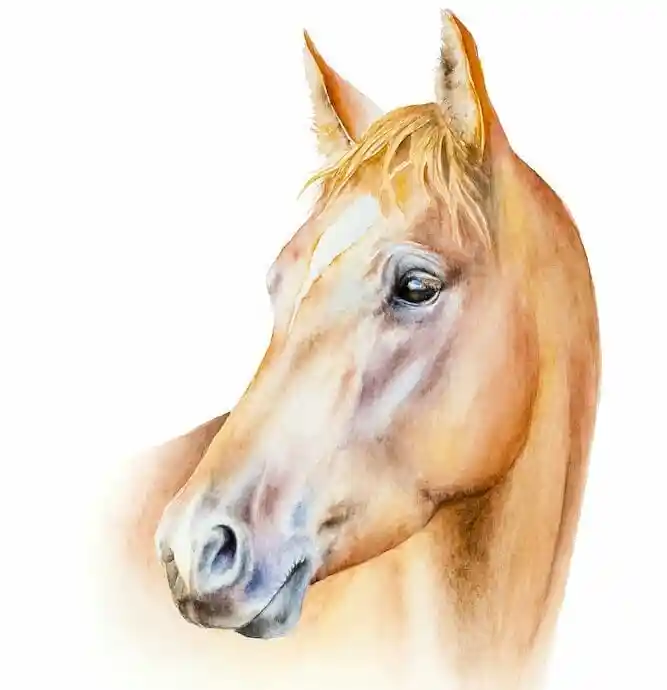 Watercolor Horse 22