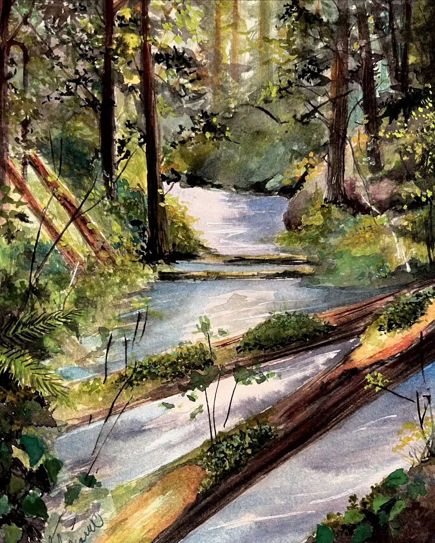 Forest Stream with Fallen Logs Watercolor National Park