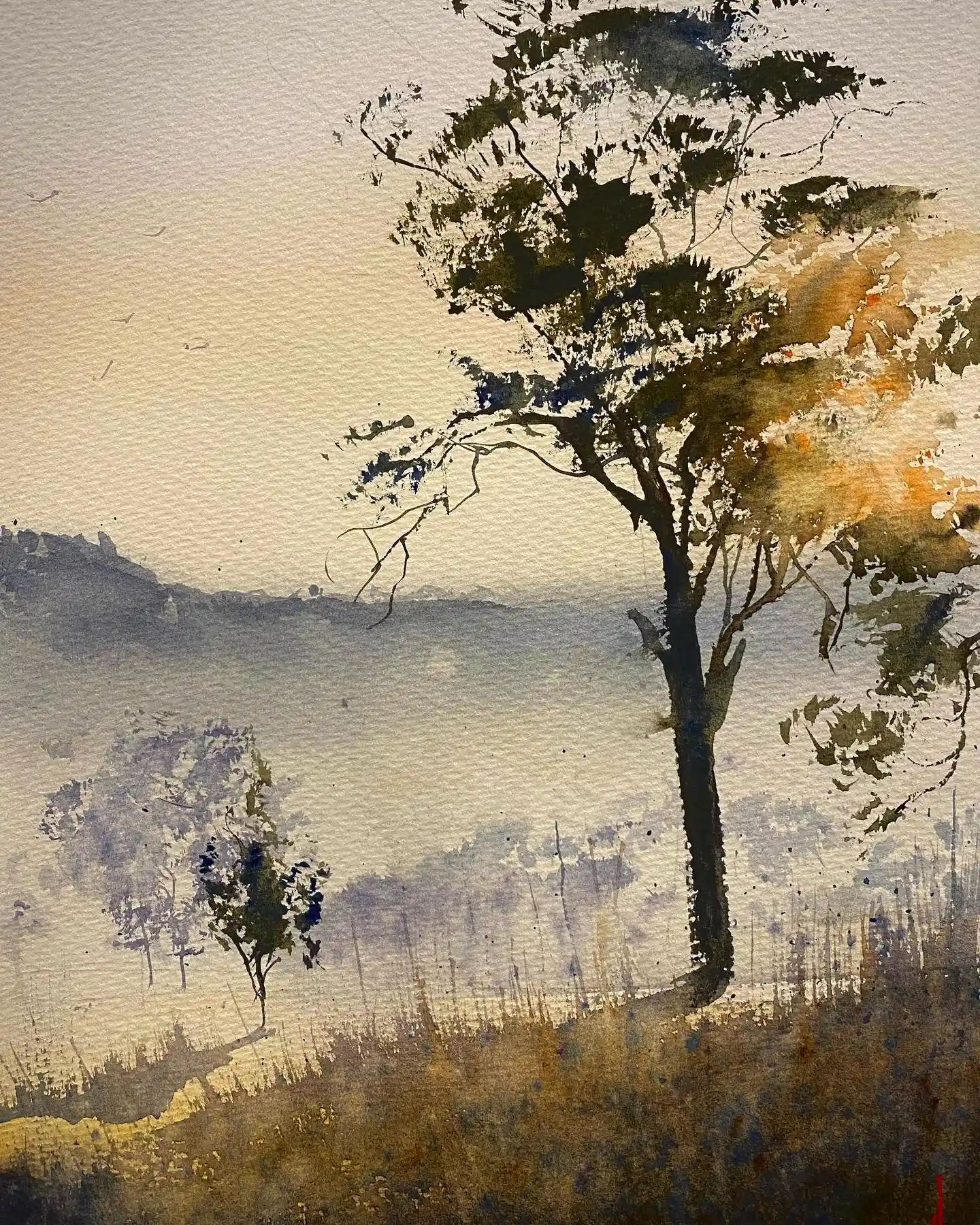 Solitary Tree in the Mist Watercolor National Park