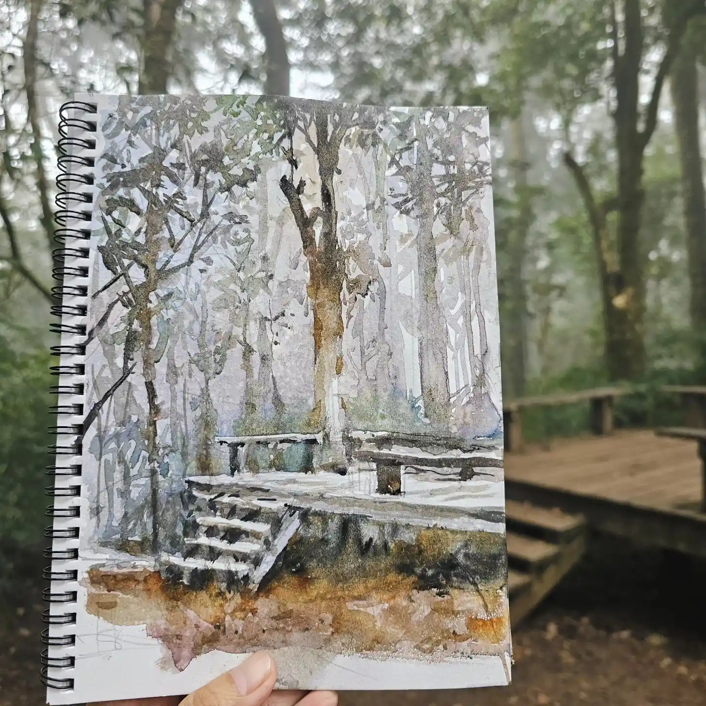 Forest Trail Deck Sketch Watercolor National Park