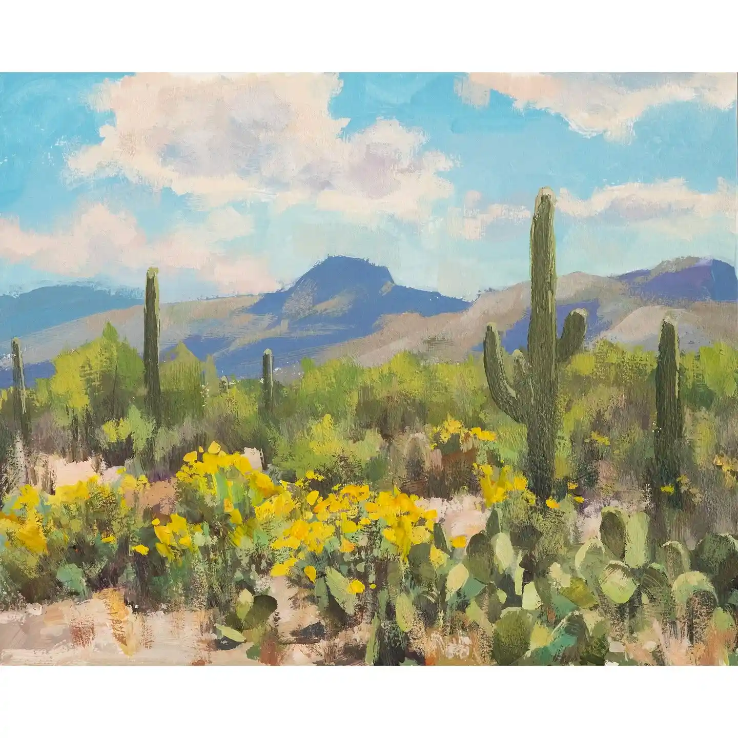 Saguaro National Park in Bloom Watercolor National Park