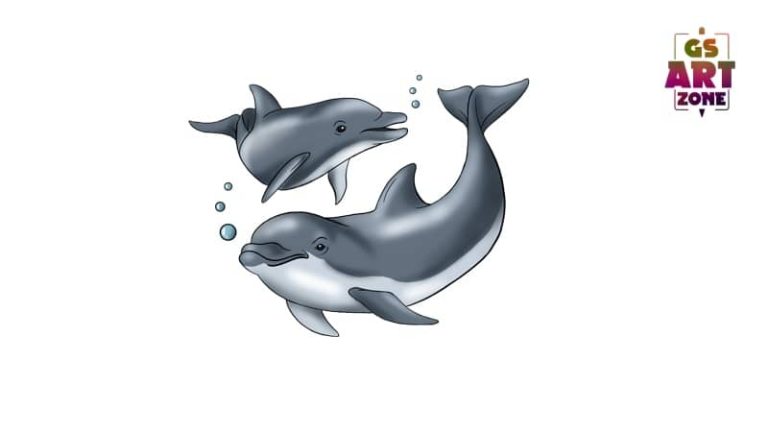 How to Draw a Dolphin