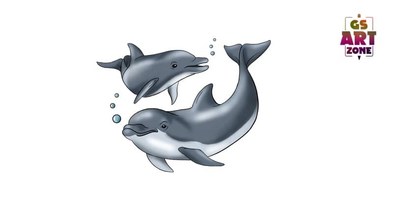 How to Draw a Dolphin